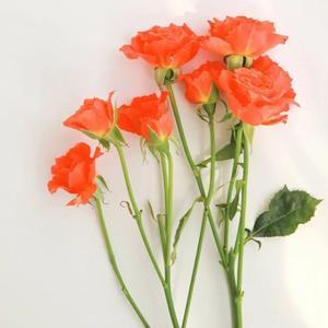 爱游戏官方平台-315曝光的3类黑心酒水，竟还在流通！喝的人要当心